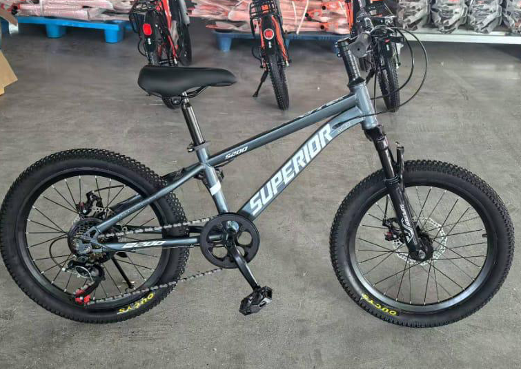 20" inch Quality Gear MTB Shock Bicycle