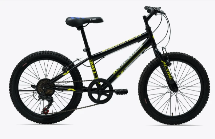Lumala Bicycle for kids and free styles Active MTB 20" MS/ PLATINA