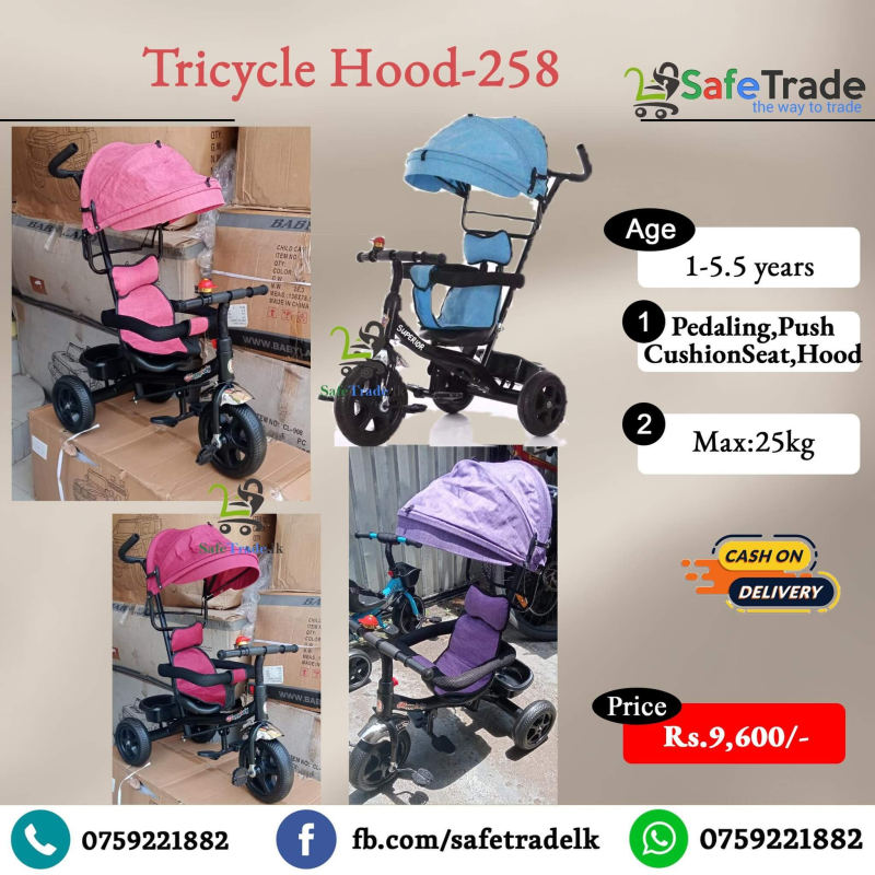 Parent handle Tricycle with Hood 258